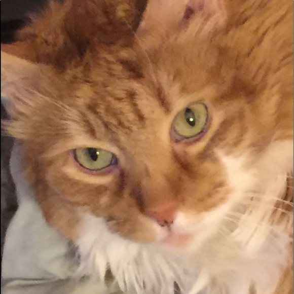 MEET ROE,I ENTERTAIN ONLY DECENT OFFERS ON MY LIST - Picture 6 of 8